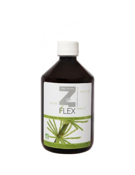 Z-Flex 500Ml. de Mint-E Health Laboratories