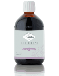 Pack 6 Uds. B. St-Joseph Articulaciones Pianto Biotic ( Ru ) 510 g  de Biolasi