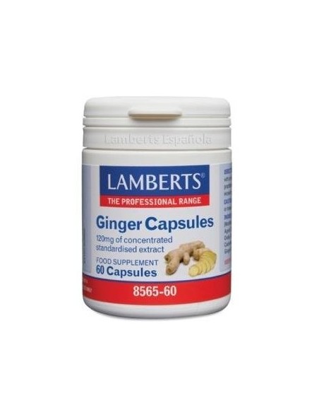 Jengibre 14.400 mg (24 mg de gingeroles) 60 Caps de Lamberts