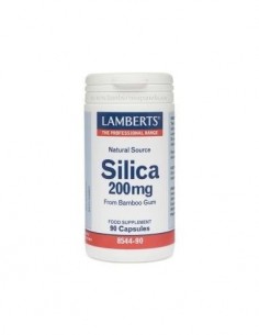 Silicio 200 mg 90 Caps de Lamberts