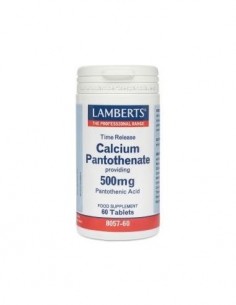 Pantotenato de Calcio 500 mg Lib. Sostenida 60 Tabs de Lamberts