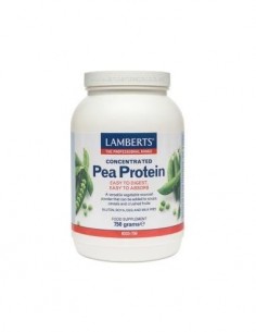 Pea Protein (ProteÃ­na de Guisante) 750 gramos 750 g de Lamberts