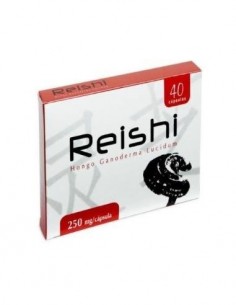 Pack 4x3 Reishi Hongo...