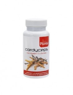 Pack 4x3 Cordyceps Plantis...