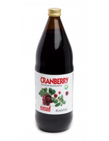 Pack 4x3  Cranberry Eco Plantis 500 Ml de Artesania