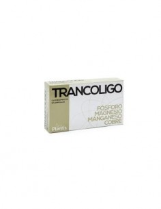 Trancoligo 20 Amp. de Artesania