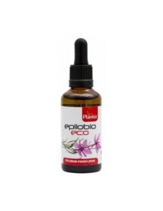 Pack 4x3 Ext. Epilobio Eco...