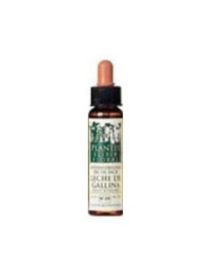 Olive Plantis Flores De Bach Nº 23 10Ml.