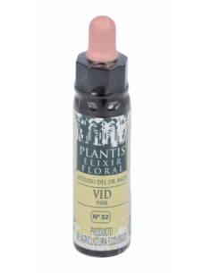Pack 4x3 Vine Plantis...