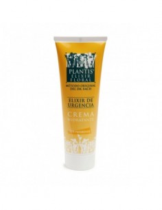 Pack 4x3 Plantis Crema...