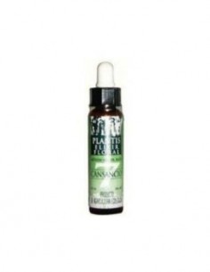 Remedio Plantis Nº 7 Cansancio 10Ml. Eco