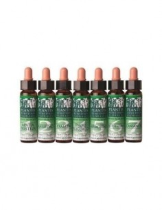 Pack 4x3 Remedio Plantis Nº...