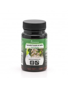 Castaño De Indias Capsudiet...