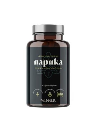 Napuka 30Cap. de Paleobull