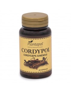 Cordypol 60 Capsulas De Planta Pol