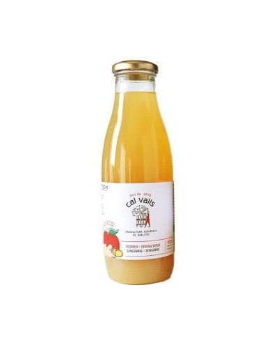 Zumo De Manzana Con Jengibre 750 Ml Eco de Cal Valls