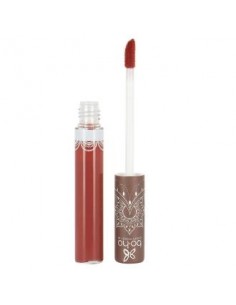 Gloss 102 Chesnut Nude 6 Ml...