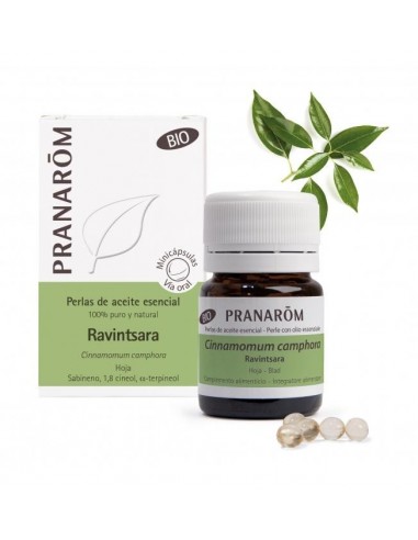 A Esencial Ravintsara Hoja Bio 60 Minicapsulas De Pranarom