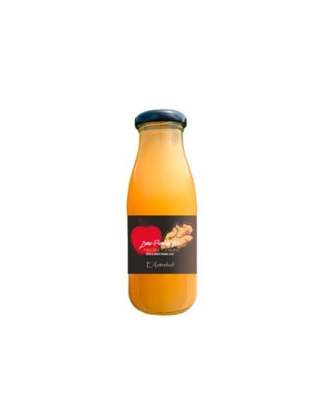Zumo De Manzana Jengibre Premium 250 Ml Bio de Ekotrebol