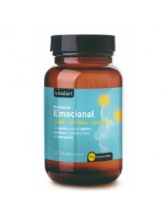 Vitalart Bienestar...