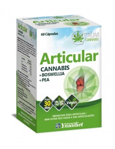 Articular 60 Caps. V de Ynsadiet