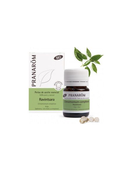 Ravintsara Hoja Bio 60 Minicapsulas de Pranarom