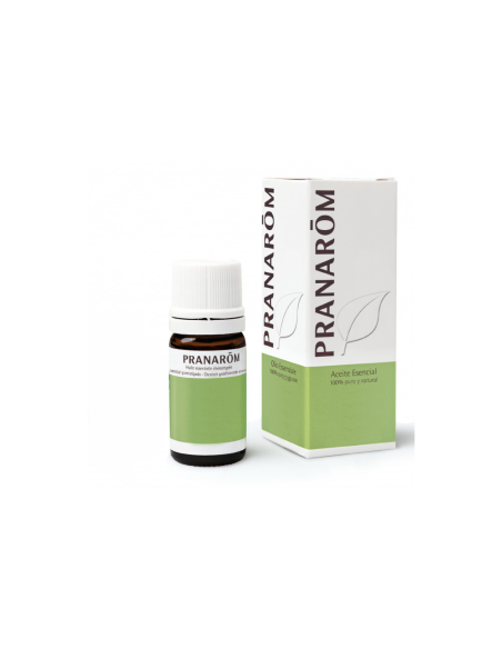 Tsuga Del Canada Rama-Agujas 5 Ml de Pranarom