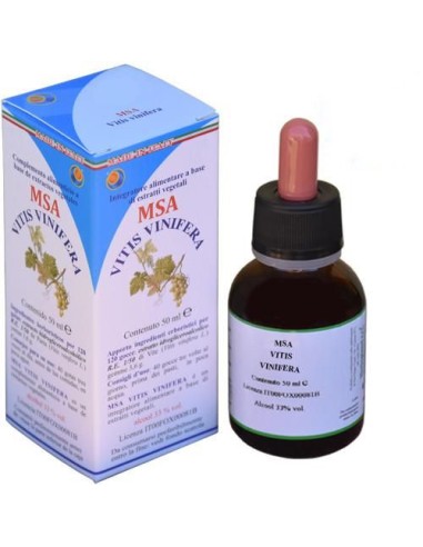 MSA Vitis Vinifera