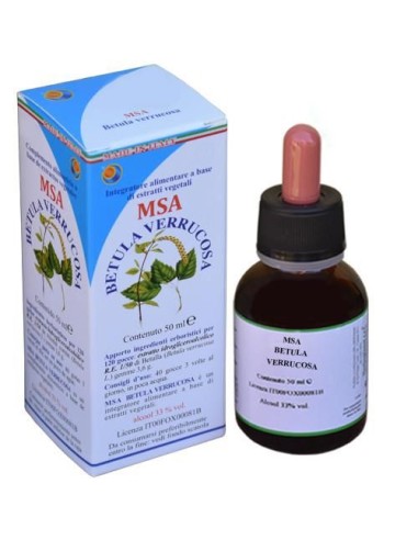 MSA Betula Verrucosa