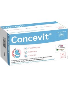 Concevit