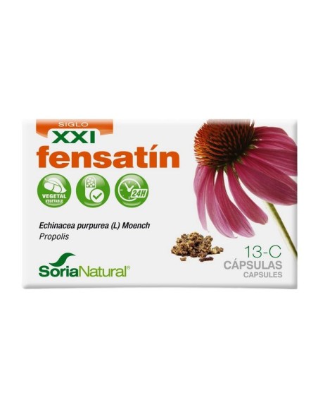 13-C Fensatin XXI