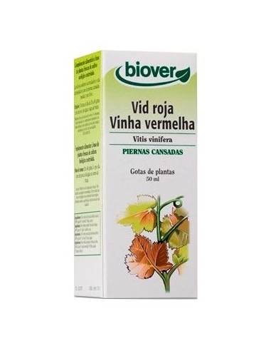 Vitis vinifera (Vid Roja)