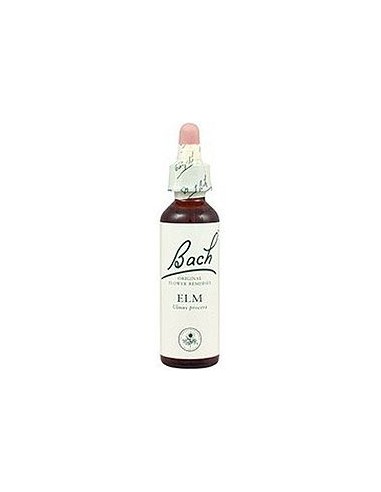Elm nº 11