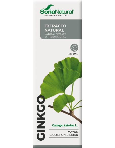 Extracto Natural de Ginkgo Biloba
