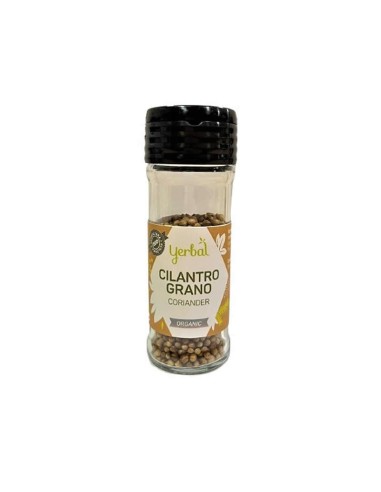 Especia Cilantro Grano