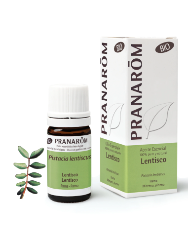 Lentisco Rama Bio Eco* 5 Ml de Pranarom