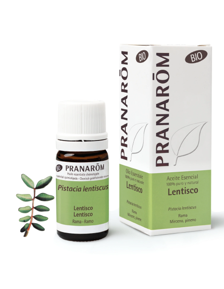 Lentisco Rama Bio Eco* 5 Ml de Pranarom