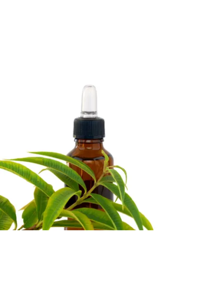 Llanten Hoja Bolsa 40 G de Artesania