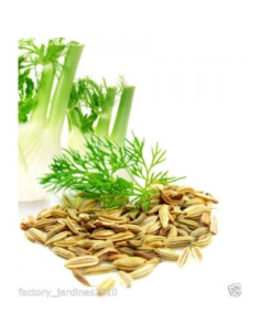 Pack 4x3 Hinojo Fruto Bolsa 40 G de Artesania