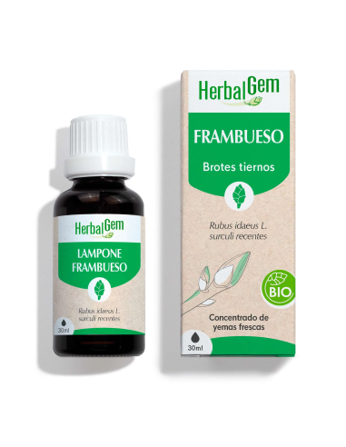 Frambueso Bio 30 ml Herbalgem  Extracto Natural de Calidad