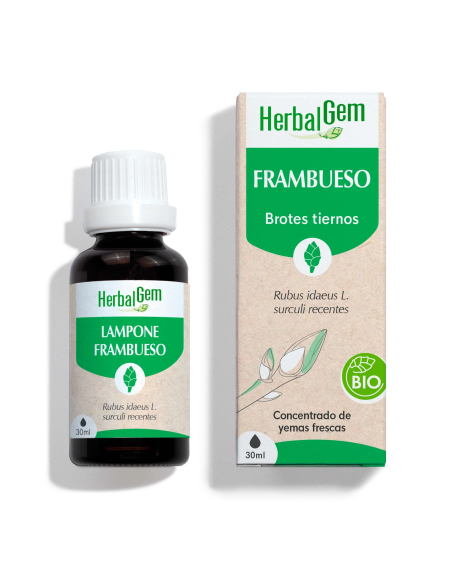 Frambueso Bio 30 ml Herbalgem  Extracto Natural de Calidad
