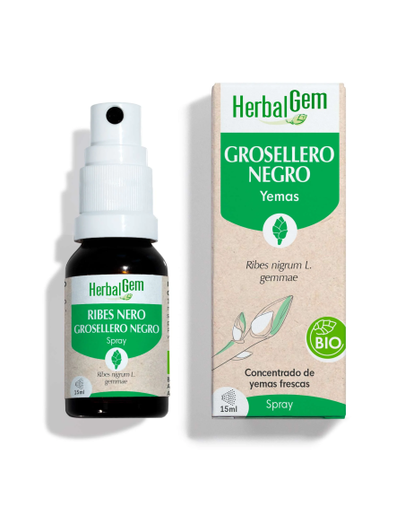 Grosellero Negro Bio Spray 15 Ml de Herbalgem