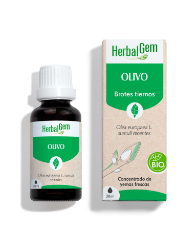 Olivo Bio 30 Ml de Herbalgem
