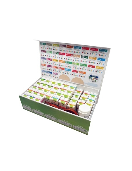 Kit Aromaterapia Científica Esential Aroms  Bienestar Total