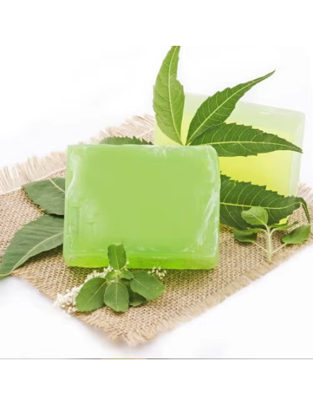 Jabón Ayurvédico Neem 75g Ecodis  Cuidado Natural PENC**