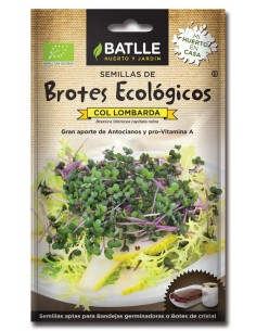 Brotes Col Lombarda para Germinar | Sobres Batlle Calidad