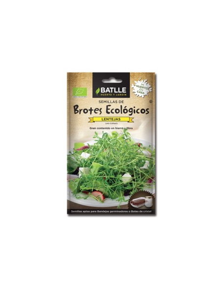Brotes de lentejas para germinar Batlle | Salud y frescura