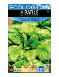 Semillas Espinaca Gigante de Invierno Batlle  Cultiva Saludable
