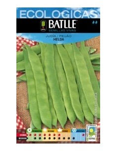 Semillas Judía Helda de Batlle  Calidad y Rendimiento Superior