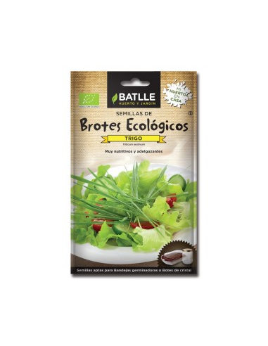 Brotes de trigo para germinar | Sobres Batlle calidad natural